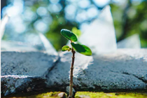 民政部蹲点工作组调研安徽芜湖福彩工作