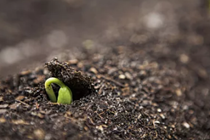 抓落实强党建 渝东北党小组主题学习进行时