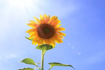 夏天你好，福彩你好，走进福彩站一起过夏天