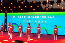 “体彩杯”天津市民运动会广场舞比赛举行