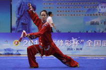 公益体彩冠名全国武术赛