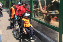 漯河福彩协会关注孤残儿童 走进郑州动物园