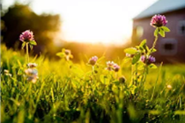 便捷移动福彩投注机亮相华中国际车展引围观