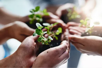 湖南第二批“走近双色球”代表团见证开奖