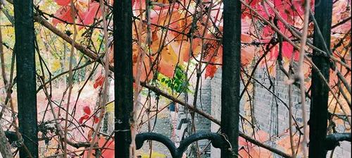 微信图片_20191128174722