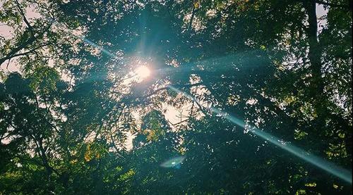 微信图片_20191128174745