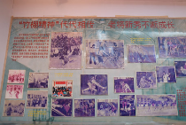 “发现身边的公益” 中国女排辉煌背后的力量