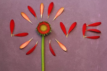 深圳福彩资助2300多名广西来深建设者回家